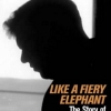 Like a Fiery Elephant.jpg